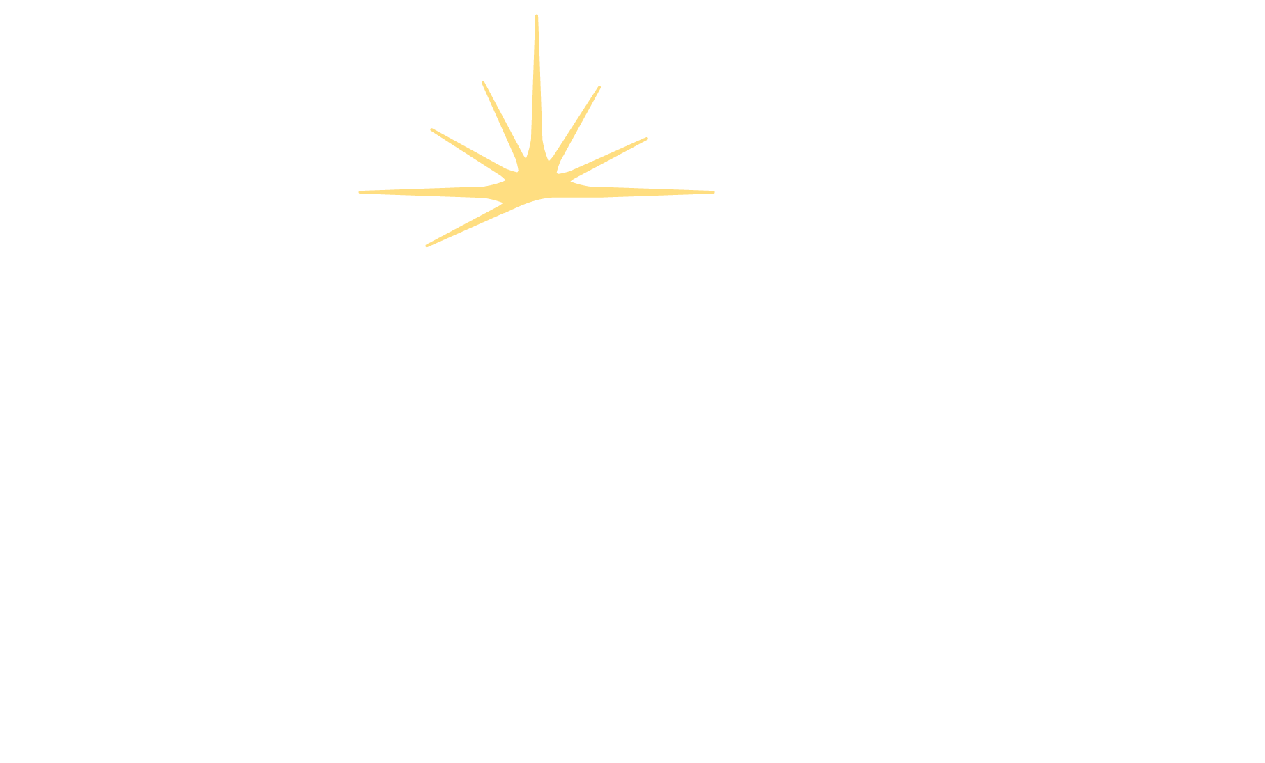 Discovery Chiropractic Logo